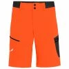 Salewa - Pedroc Cargo 2 DST Shorts - Short